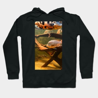 fish in the water Hoodie